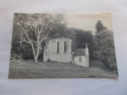 DARNEY ET SES ENVIRONS   ( 88 Vosges )  RUINES DE  L ABBAYE DE BONNEVAL  LA CHAPELLE - Darney