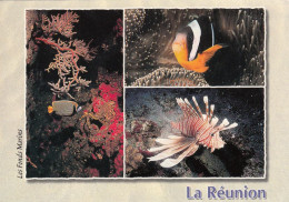 REUNION - Les Fonds Marins - Circulated 2003 - Riunione