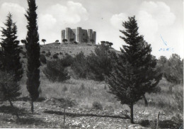 ANDRIA - CASTEL DEL MONTE - FG - Andria