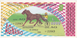 BIGLIETTO DELLA LOTTERIA - NAZIONALE DI AGNANO -  ESTAZIONE 22/4/1990 - Biglietti Della Lotteria