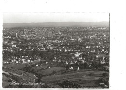 Wien (Autriche, Wien) ) : Blick General Vom Kahlenberg Im 1950 GF. - Autres & Non Classés