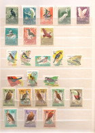 HONGRIE ANNÉES 1959/85   OISEAUX ** MNH Cote : 58,00 € - Collezioni & Lotti