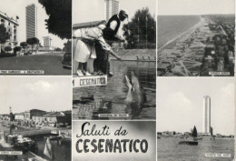 SALUTI DA CESENATICO - FG - Cesena