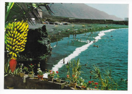 LA PALMA  -- PLAYA DE PUERTO NAOS - La Palma