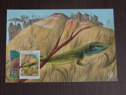 Greece Mount Athos 2010 Flaura-Fauna II Maximum Card XF. - Maximumkaarten