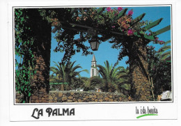 LA PALMA  -- EL PASO - La Palma