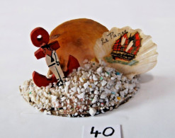 C40 Coquillage Souvenir - La Panne - Largeur 10 Cm - Coquillages