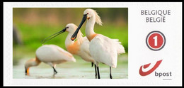 DUOSTAMP** / MYSTAMP** - Fantastic Fauna - Spatule Blanche / Euraziatische Lepelaar / Löffler - SPECIAL EDITION - Storks & Long-legged Wading Birds