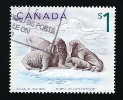 2005 Atlantic Walrus Michel CA 2300 Stamp Number CA 1689 Yvert Et Tellier CA 2183 Stanley Gibbons CA 1758 Used - Gebraucht