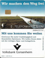 Germany - Volks Und Raiffeisenbanken (Canoe, ''Volksbank Gonsenheim'') - O 1797-1 - 09.1994, 12DM, Used - O-Series: Kundenserie Vom Sammlerservice Ausgeschlossen