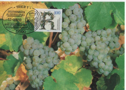 Germany Deutschland 1990 Maximum Card, Funf Jahrhunderte Rieslinganbau, Wein Wine, Grape Grapes, Trier - 1981-2000