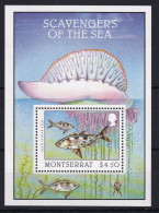 Montserrat Mi.-Nr. Block 72 Postfrisch ** / MNH Aasfresser Der Meere - Montserrat