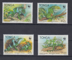 Tonga WWF Kurzkammleguan Mi.-Nr. 1140-1143 Kpl. Satz 4 Werte ** - Tonga (1970-...)