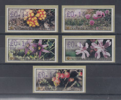 Zypern Amiel-ATM Ausgabe Wildblumen 2002, Mi.-Nr. 5-9 Je Eine ATM Mit Nr. 004 - Sonstige & Ohne Zuordnung