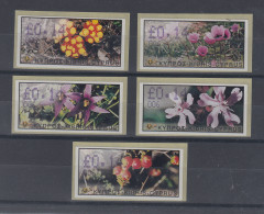 Zypern Amiel-ATM Ausgabe Wildblumen 2002, Mi.-Nr. 5-9 Je Eine ATM Mit Nr. 006 - Autres & Non Classés