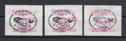 Südafrika 1993 Sonder-ATM E'Thekwini Durban VS-Ausgabe Satz 45-85-105 Mit So.-O - Frama Labels