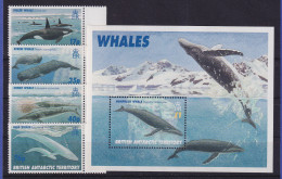 Britische Antarktis 1986 Wale Mi.-Nr. 250-253 Und Block 4 Postfrisch ** - Sonstige & Ohne Zuordnung