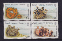 Britische Antarktis 1989 Flechten Mi.-Nr. 152-155 Postfrisch ** - Sonstige & Ohne Zuordnung