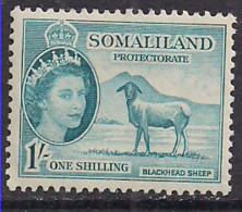 Somaliland 1953 QE2 1/- Blackhead Sheep MH SG 144 ( L592 ) - Somaliland (Protectoraat ...-1959)