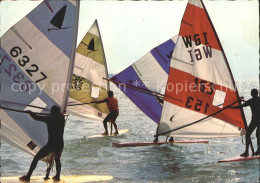 72148065 Segeln Windsurfen Balaton   - Zeilen