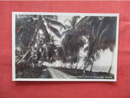 RPPC. Coconut Grove  Punch Holes Left   Jamaica Ref 6318 - Jamaïque