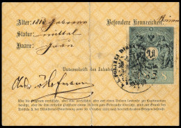 1890, Österreich - Machine Postmarks