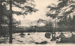 FRANCE - Gerardmer - Perspective Sur La Vologne Au Pont D'Amour - Carte Postale Ancienne - Gerardmer