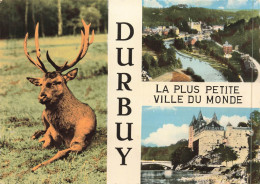 BELGIQUE - Durbuy - La Plus Petite Ville Du Monde - Carte Postale - Durbuy