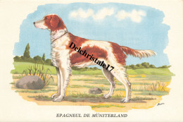 BUVARD 0010 PUBLICITÉ BIOLACTYL LABORATOIRES FOURNIER FRÈRES PARIS ILLUSTRATION HORBER THÈME CHIEN ÉPAGNEUL  MÜNSTERLAND - Drogheria