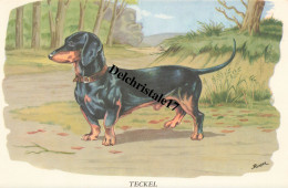 BUVARD 0006 PUBLICITÉ BIOLACTYL - LABORATOIRES FOURNIER FRÈRES PARIS - ILLUSTRATION HORBER - THÈME CHIEN - TECKEL - Drogheria