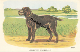 BUVARD 0005 PUBLICITÉ BIOLACTYL - LABORATOIRES FOURNIER FRÈRES PARIS - ILLUSTRATION HORBER THÈME CHIEN GRIFFON KORTHALS - Produits Pharmaceutiques