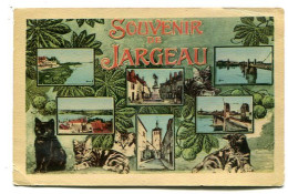 CPA  45 : JARGEAU     Souvenir        VOIR  DESCRIPTIF  §§§ - Jargeau