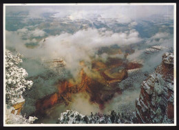 CPSM / CPM 10,5 X 15 USA Etats Unis (63) Arizona GRAND CANYON National Park  Winter Storm Leaves - Gran Cañon