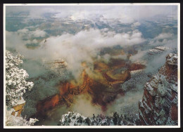 CPSM / CPM 10,5 X 15 USA Etats Unis (63) Arizona GRAND CANYON National Park  Winter Storm Leaves - Grand Canyon