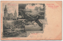 Gruss Vom Schloss Kastell Tägerweilen 1903 Hieschpark Schwanenteich Fasauerie - Kreuzlingen