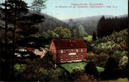 0126 - TOP Roda - Ziegenmühle Mühle Papiermühle - Richard Zieschank - Water Mills
