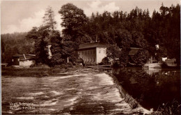 C0460 - Rentzschmühle Vogtländische Schweiz Vogtland - Mühle Wassermühle Wehr - Trinks & Co - Watermolens