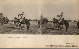 Vues Stéréoscopiques Julien Damoy  Biskra Chasse Au Faucon - Cartoline Stereoscopiche