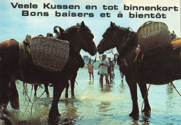 ANIMAUX & FAUNE - Chevaux - Deux Chevaux Se Promenant Sur L'eau - Bons Baisers Et à Bientôt - Carte Postale - Chevaux