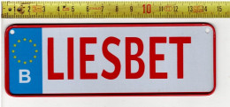 LADE C - KLEINE METALEN NUMMERPLAAT - PETITE PLAQUE D'IMMATRICULATION EN MÉTAL - LIESBET - Number Plates