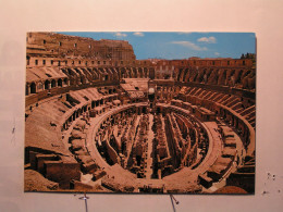 Roma (Rome) - Il Colisée - Interno - Coliseo