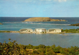 CPM- SAINT-BARTHÉLÉMY - GRAND CUL DE SAC - ST-BARTH BEACH HÔTEL  Antilles Françaises* 2 Scans - Saint Barthelemy