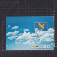 [Carte Maximum / Maximum Card / Maximumkarte] Switzerland 2001 | Aero-club Suisse 100th Anniversary Official Card - Maximum Cards