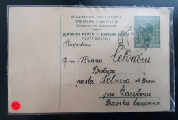 Kingdom Yugoslavia 50 Para Postal Stationery Card Bileca To Selnica Ob Dravi 26.4.1930 Catalog No. 13/I - Entiers Postaux
