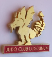 I112 Pin's Judo Club Lugdunum Lyon Dragon Qualité Top Achat Immédiat - Judo