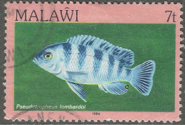 Malawi 1984 Fish. 7t Used. SG 691 - Malawi (1964-...)