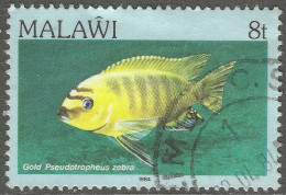 Malawi 1984 Fish. 8t Used. SG 692 - Malawi (1964-...)