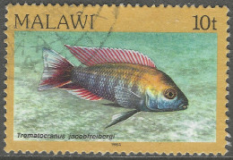 Malawi 1984 Fish. 10t Used. SG 693 - Malawi (1964-...)