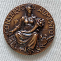 Medaglia Centenario Della Cassa Di Risparmio In Bologna (1837-1937)  Q.FDC - Profesionales/De Sociedad