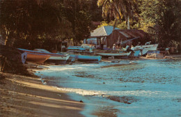 CPM PF- Guadeloupe - Terre-de-Haut - FOND DU CURE - Plage Des Pêcheurs **** 2 Scans - Basse Terre